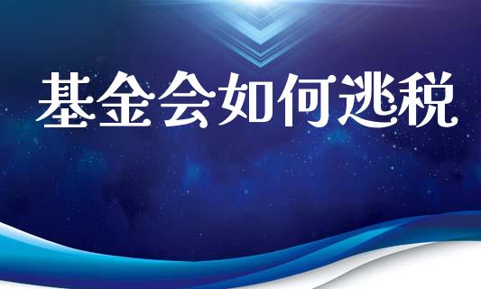 基金会如何逃税_https://m.jnlaobingbanjia.com_基金市场_第1张