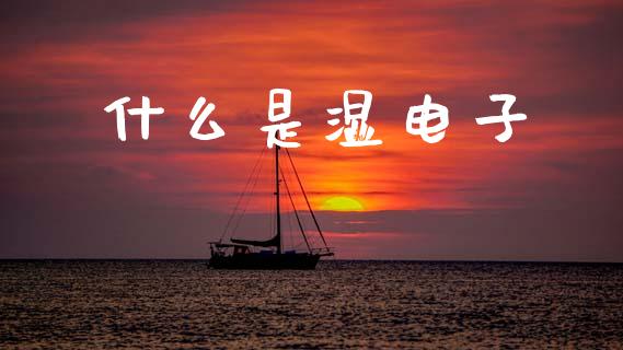 什么是湿电子_https://m.jnlaobingbanjia.com_基金市场_第1张