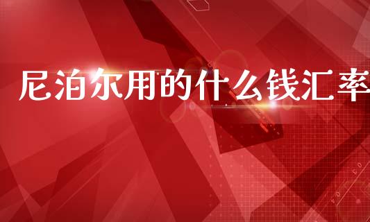 尼泊尔用的什么钱汇率_https://m.jnlaobingbanjia.com_全球市场_第1张