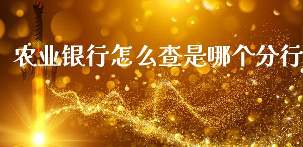 农业银行怎么查是哪个分行_https://m.jnlaobingbanjia.com_区块链_第1张