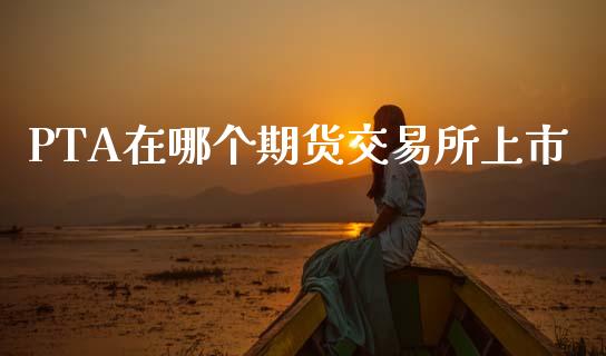 PTA在哪个期货交易所上市_https://m.jnlaobingbanjia.com_股市新闻_第1张