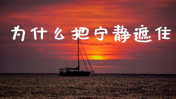 为什么把宁静遮住_https://m.jnlaobingbanjia.com_区块链_第1张