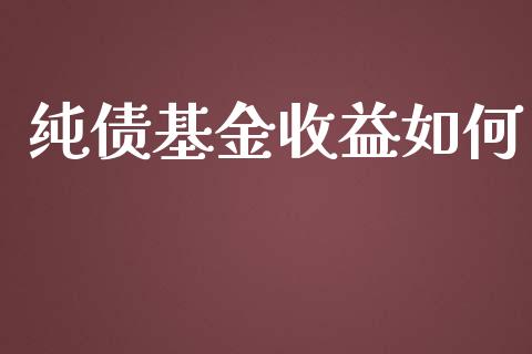 纯债基金收益如何_https://m.jnlaobingbanjia.com_区块链_第1张