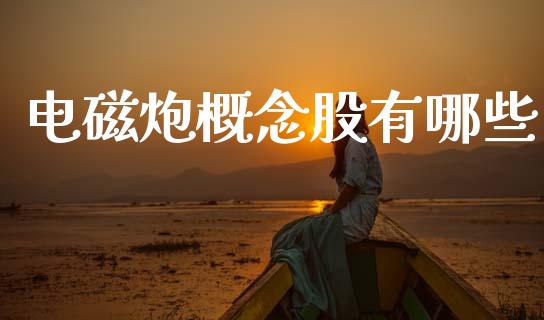 电磁炮概念股有哪些_https://m.jnlaobingbanjia.com_股市新闻_第1张