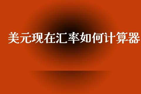 美元现在汇率如何计算器_https://m.jnlaobingbanjia.com_基金市场_第1张
