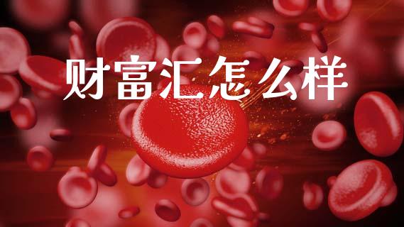 财富汇怎么样_https://m.jnlaobingbanjia.com_股市新闻_第1张