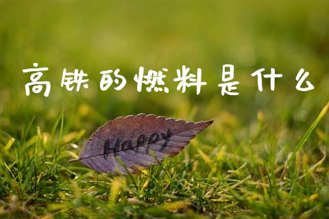 高铁的燃料是什么_https://m.jnlaobingbanjia.com_金融监管_第1张