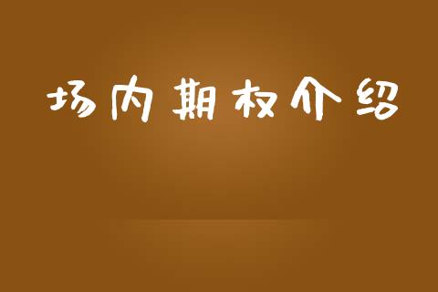 场内期权介绍_https://m.jnlaobingbanjia.com_股市新闻_第1张