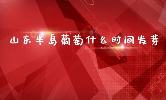 山东半岛葡萄什么时间发芽_https://m.jnlaobingbanjia.com_全球市场_第1张