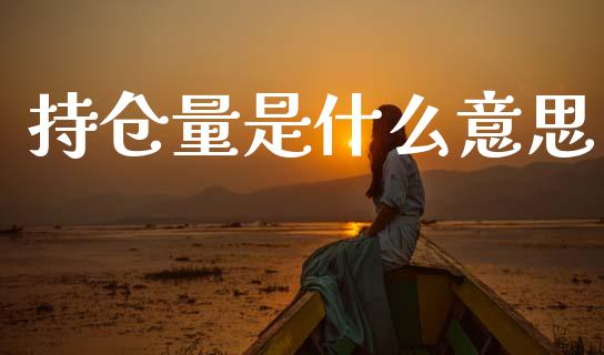 持仓量是什么意思_https://m.jnlaobingbanjia.com_理财规划_第1张