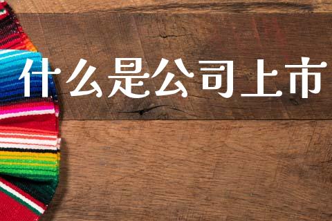 什么是公司上市_https://m.jnlaobingbanjia.com_区块链_第1张