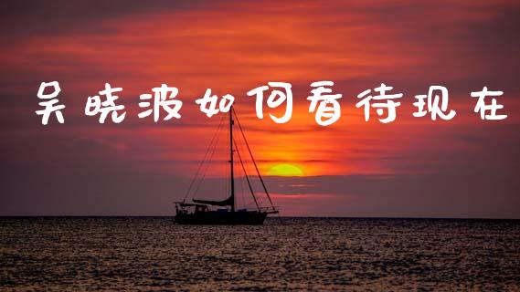 吴晓波如何看待现在_https://m.jnlaobingbanjia.com_股市新闻_第1张