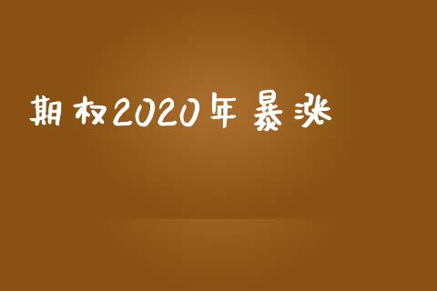 期权2020年暴涨_https://m.jnlaobingbanjia.com_金融监管_第1张