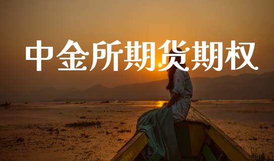 中金所期货期权_https://m.jnlaobingbanjia.com_金融监管_第1张