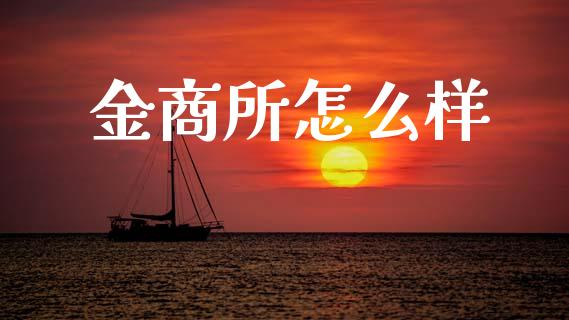 金商所怎么样_https://m.jnlaobingbanjia.com_区块链_第1张