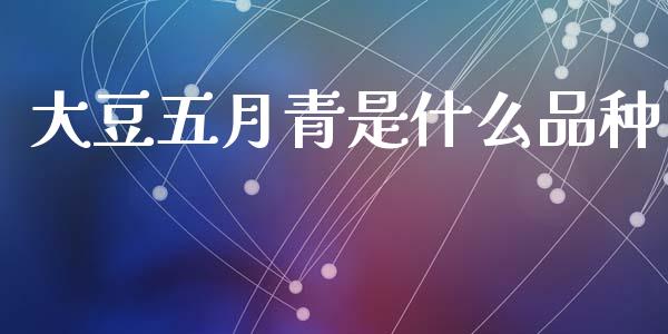 大豆五月青是什么品种_https://m.jnlaobingbanjia.com_理财规划_第1张