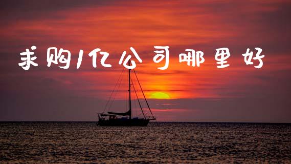 求购1亿公司哪里好_https://m.jnlaobingbanjia.com_金融监管_第1张