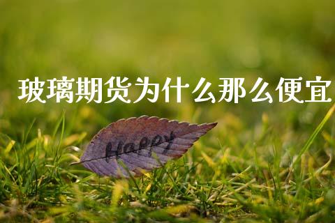 玻璃期货为什么那么便宜_https://m.jnlaobingbanjia.com_理财规划_第1张
