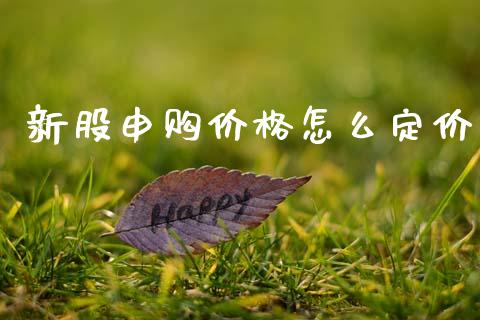 新股申购价格怎么定价_https://m.jnlaobingbanjia.com_股市新闻_第1张