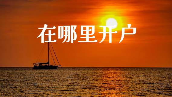 在哪里开户_https://m.jnlaobingbanjia.com_金融监管_第1张