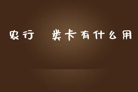 农行Ⅱ类卡有什么用_https://m.jnlaobingbanjia.com_理财规划_第1张