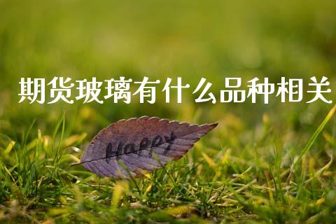期货玻璃有什么品种相关_https://m.jnlaobingbanjia.com_金融监管_第1张
