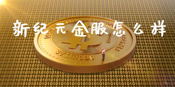 新纪元金服怎么样_https://m.jnlaobingbanjia.com_股市新闻_第1张