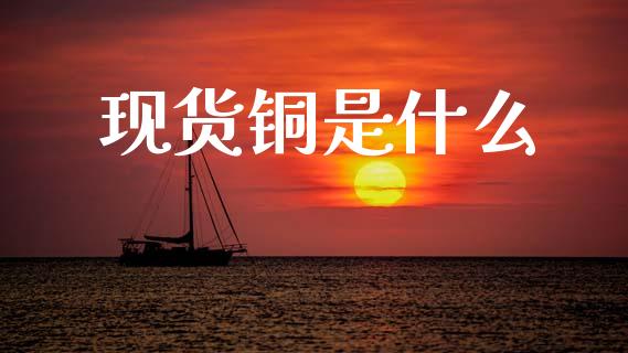现货铜是什么_https://m.jnlaobingbanjia.com_金融监管_第1张