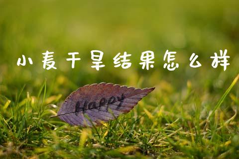 小麦干旱结果怎么样_https://m.jnlaobingbanjia.com_股市新闻_第1张