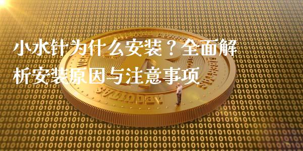 小水针为什么安装？全面解析安装原因与注意事项_https://m.jnlaobingbanjia.com_股市新闻_第1张