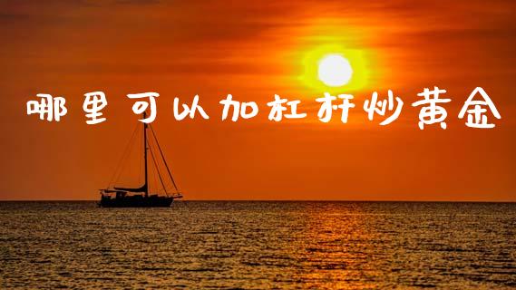 哪里可以加杠杆炒黄金_https://m.jnlaobingbanjia.com_股市新闻_第1张