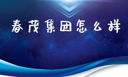 春茂集团怎么样_https://m.jnlaobingbanjia.com_理财规划_第1张