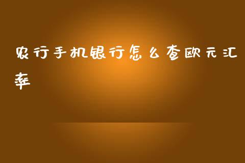 农行手机银行怎么查欧元汇率_https://m.jnlaobingbanjia.com_股市新闻_第1张