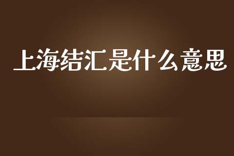 上海结汇是什么意思_https://m.jnlaobingbanjia.com_全球市场_第1张