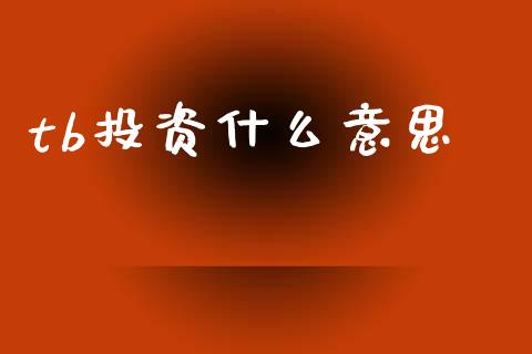 tb投资什么意思_https://m.jnlaobingbanjia.com_基金市场_第1张