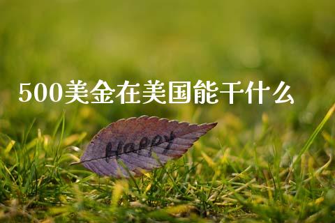500美金在美国能干什么_https://m.jnlaobingbanjia.com_股市新闻_第1张