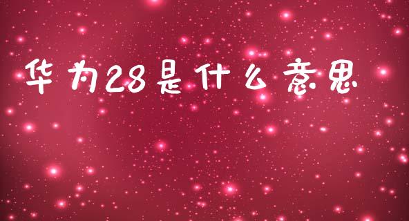 华为28是什么意思_https://m.jnlaobingbanjia.com_理财规划_第1张