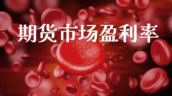 期货市场盈利率_https://m.jnlaobingbanjia.com_理财规划_第1张