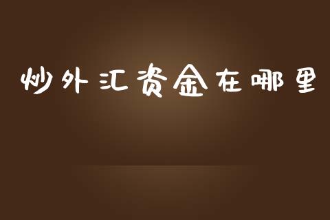 炒外汇资金在哪里_https://m.jnlaobingbanjia.com_基金市场_第1张