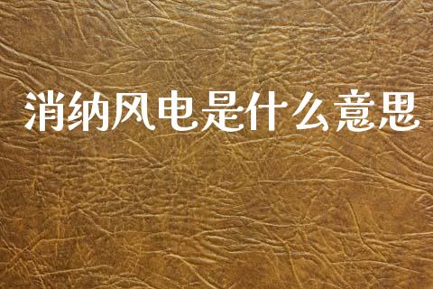 消纳风电是什么意思_https://m.jnlaobingbanjia.com_金融监管_第1张