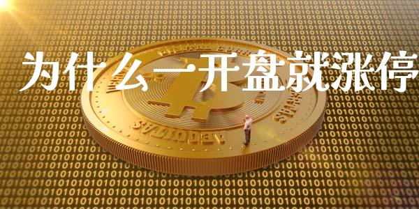 为什么一开盘就涨停_https://m.jnlaobingbanjia.com_理财规划_第1张
