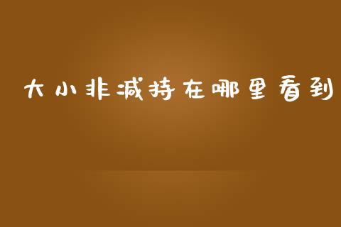 大小非减持在哪里看到_https://m.jnlaobingbanjia.com_理财规划_第1张