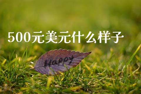 500元美元什么样子_https://m.jnlaobingbanjia.com_股市新闻_第1张