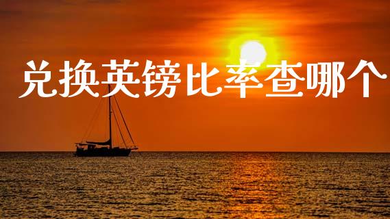 兑换英镑比率查哪个_https://m.jnlaobingbanjia.com_金融监管_第1张