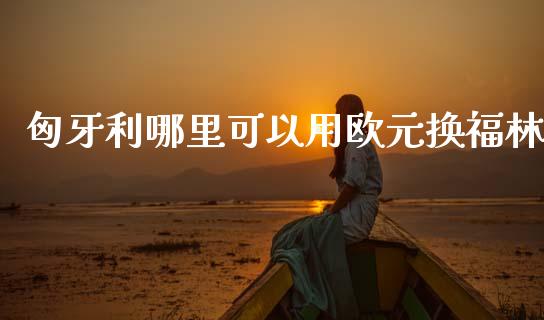 匈牙利哪里可以用欧元换福林_https://m.jnlaobingbanjia.com_全球市场_第1张