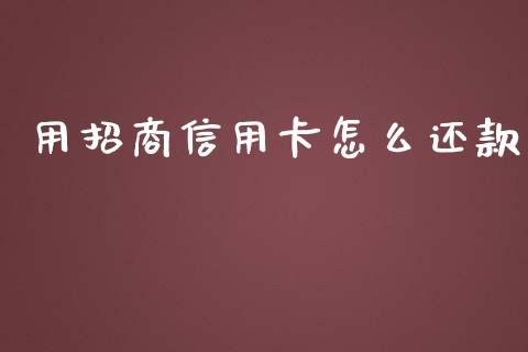 用招商信用卡怎么还款_https://m.jnlaobingbanjia.com_金融监管_第1张