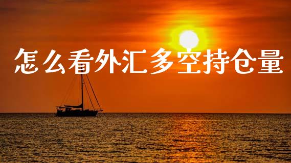 怎么看外汇多空持仓量_https://m.jnlaobingbanjia.com_理财规划_第1张
