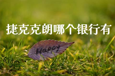 捷克克朗哪个银行有_https://m.jnlaobingbanjia.com_全球市场_第1张
