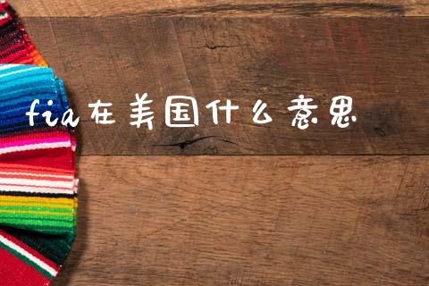 fia在美国什么意思_https://m.jnlaobingbanjia.com_区块链_第1张