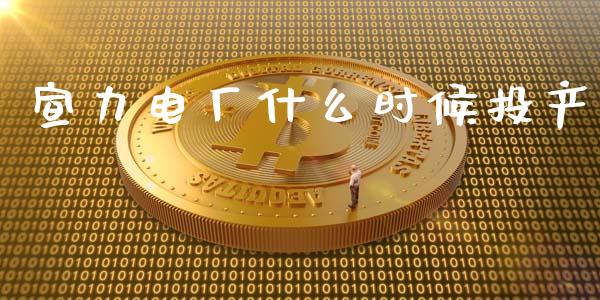 宣力电厂什么时候投产_https://m.jnlaobingbanjia.com_全球市场_第1张